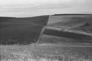 Hügellandschaft : Blick über eine Hügellandschaft