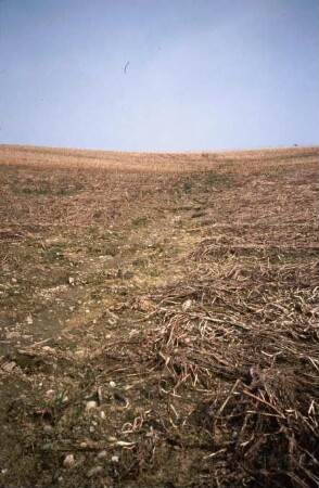 Fotografie: Pflanzenproduktionsverfahren, Erosion, Zwischenfrucht