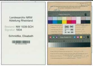 Entnazifizierung Elisabeth Schmidtke , geb. 11.06.1911 ()
