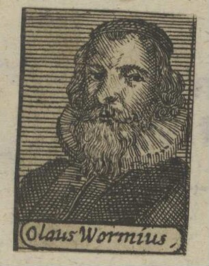 Bildnis des Olaus Wormius