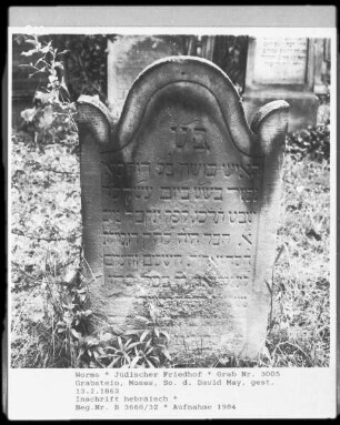 Grabstein von Moses, Sohn des David May (gestorben 1863.02.13)