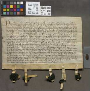 Mainz (Stadt): Litera bann. pro Conventu Cenobii in Dalen prope Mog. super annuis et perpetuis Redditibus trium librarum et sex solidorum hallerum...