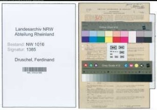 Entnazifizierung Ferdinand Druschel , geb. 01.11.1889 (Justizoberwachtmeister)