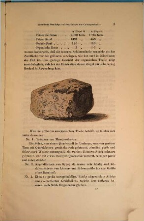 Botanische Streifzüge auf dem Gebiete der Culturgeschichte, VIII