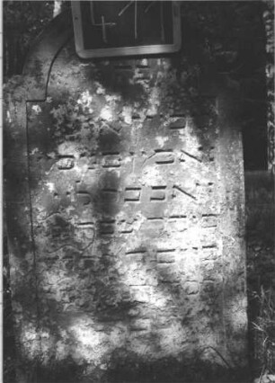 Grabstein 411 (Index: 99895867) Material: Sandstein Zustand: bewachsen, im unteren Teil verwittert Maße HxBxT: 108x59x17 cm Beschreibung: Stele mit eingezogenem Rundbogenabschluss: Grabstein 411 (2)
