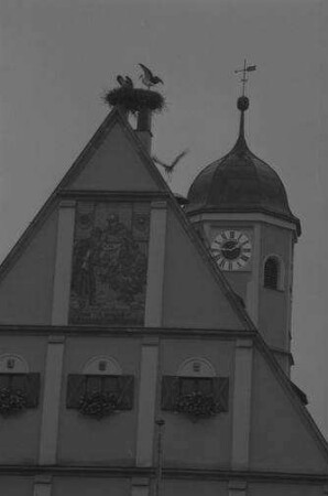 Weiden: Storchennest auf dem Rathausgiebel