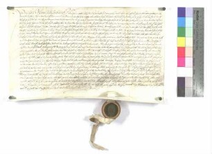 Verkauf eines Söldguts zu Hüttisheim (Michael Oth)