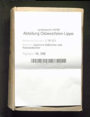 Salbuch der Vogtei Langenholzhausen von 1826, Bd. 2