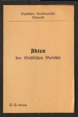 Ziegler Friedrich Meier von Nr. 55 zu Meiersfeld gegen Louise Hagemeister aus Meiersfeld, in Dienst in Detmold, Eheklage