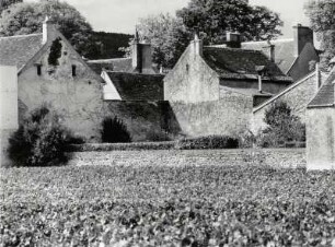 Weingut im Herbst im Burgund. Einfach schön