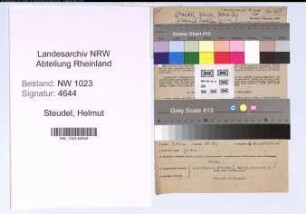 Entnazifizierung Helmut Steudel , geb. 06.08.1901 (Ingenieur)