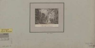 Ansicht vom Liebethaler Grund, Kupferstich, 1794 : Rabenteuffe im Liebethale / Günther del. et s. - [Leipzig] , [1794]. - 1 Kunstbl. : Kupferst. ; 10 x 7 cm