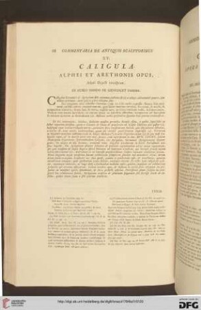 XV. Caligula / XV. Caligola