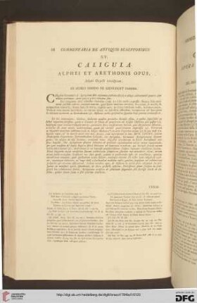 XV. Caligula / XV. Caligola