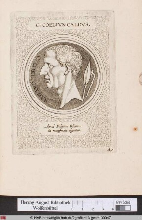 Porträt des C. Coelius Caldus.