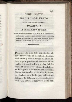 Degli Insetti Nocivi All' Ulivo nella Provincia Veronese Memoria I.