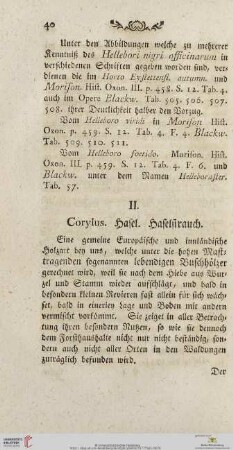 II. Corylus, Hasel, Haselstrauch