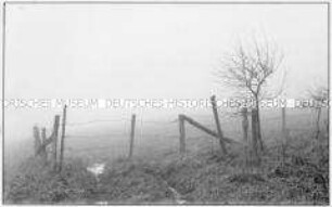 Zaun im Nebel (Altersgruppe 14-17)