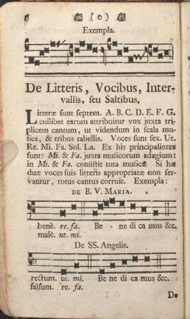De Litteris, Vocibus, Intervallis, seu Saltibus.