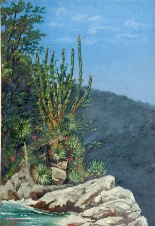 Brasilien, Vegetation am Wasserfall