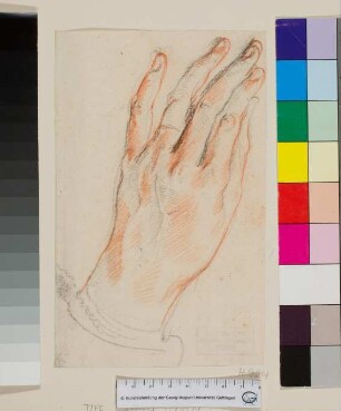 Studie einer linken Hand