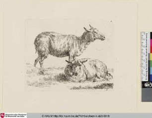 [Ein stehendes und ein ruhendes Schaf; The Set of the Sheep, 3; Un mouton debout [...]]