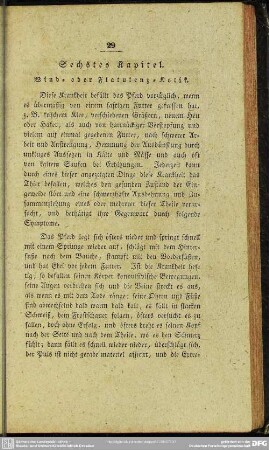 Sechstes Kapitel. Wind- oder Flatulenz-Kolik