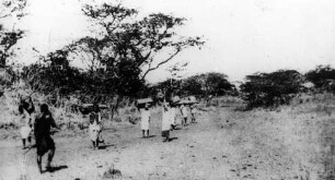 Safari in der Massaisteppe
