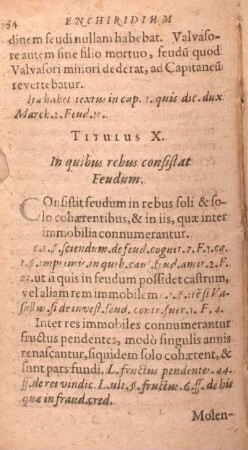 Titulus X. In quibus rebus consistat Feudum.