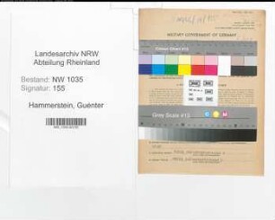 Entnazifizierung Guenter Hammerstein , geb. 01.03.1910 (Angestellter)