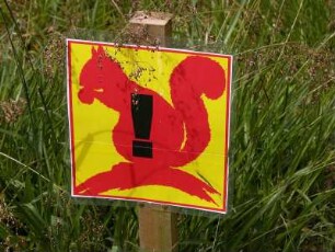Achtungsschild : Hinweis auf frei laufende Eichhörnchen in Balmoral Castle, schottischer Sommersitz der englischen Königsfamilie. Aufgenommen im Jni 2005. Foto Uwe Gerig