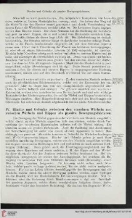 IV: Bänder und Gelenke zwischen den einzelnen Wirbeln und zwischen Wirbeln und Rippen als passive Bewegungsfaktoren
