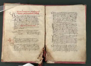 Tenor Iuramenti ad delatione[m] Rector[is] per Intituland[um] pr[est]andi.