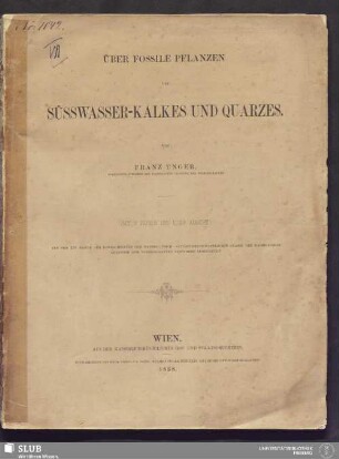 Über fossile Pflanzen des Süsswasser-Kalkes und Quarzes