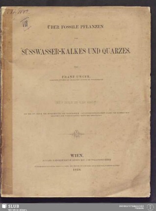 Über fossile Pflanzen des Süsswasser-Kalkes und Quarzes