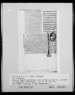 Ms 9200-01, Sancti Pauli epistolae cum glossis, fol. 188v: Initiale P zu Thimotheus I