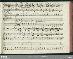 Cantata II: Gelsomin che superbetto pompa fai del tuo candore