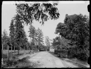 Oybin, Forsthaus