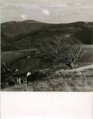 Im Hochschwarzwald