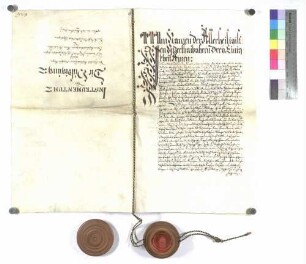 Huldigungsinstrument der Untertanen der Dörfer Donaustetten und Gögglingen gegen den Abt Modestus zu Wiblingen