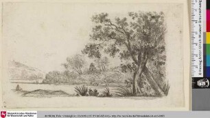 [Flusslandschaft mit Viehtreiber]