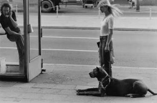 Straßenszene mit Telefonzelle und dänischer Dogge