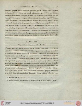 Caput VII: De porticu et reliquis partibus theatri