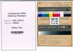 Entnazifizierung Fritz Bless, geb. 07.11.1891 (Vertreter)
