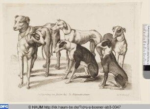 Gruppe von sechs Hunden