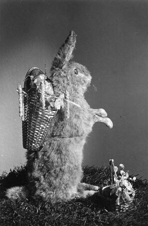 Osterhasenbilder. Sitzender Osterhase