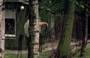 Überprüfen des Fischernetzes