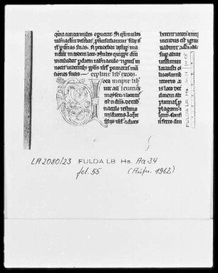 Biblia latina, pars 1 — Initiale V (ocavit autem), ein Teil derselben in Gestalt eines Drachen, Folio 55recto