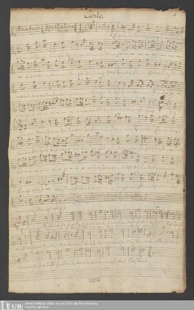 Ms. Ff. Mus. 1104 - Am 3ten Sontage nach der Offenbahrung Christi : a soprano, alto, tenore, basso, doi violini, violoncello è cembalo : 1726
