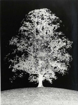 Baum, experimentell, Negativdruck